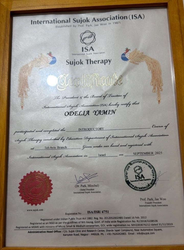 Certificate 3.jpg